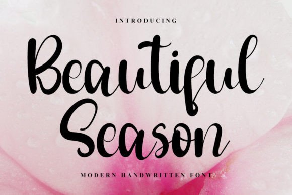Beautiful Season Font for Professional Branding