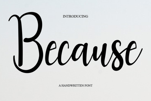 Because Font for Campaign Creatives