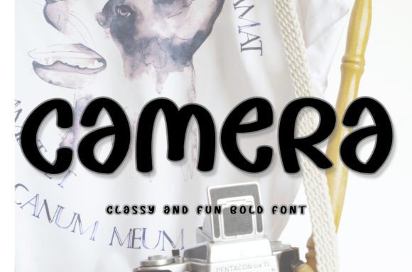 Camera Font for Web Design