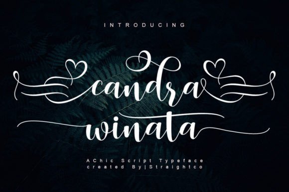 Candra Winata Script Font for Editorial Design