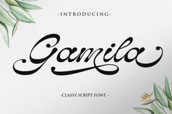 Choosing Gamila for a Modern Web Design Project