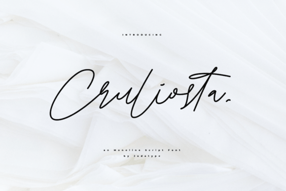 Cruliosta: A Stylish Font for Small Business Branding