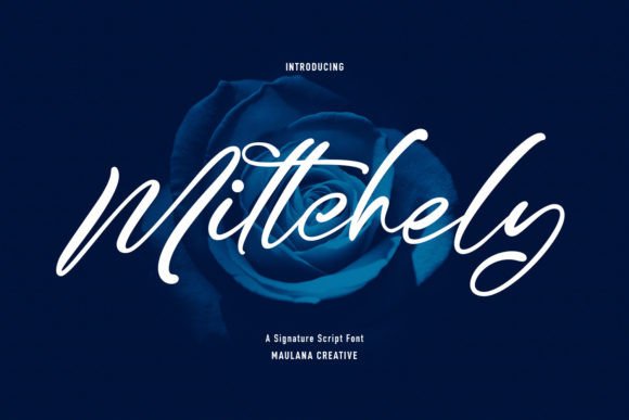 How Mittchely Transformed My Brand’s Visual Identity